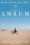 Nonton Film Amrum Sub Indo