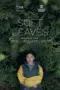 Nonton Film Soft Leaves Sub Indo