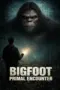 Nonton Film Bigfoot Primal Encounter Sub Indo