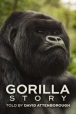 Nonton Film A Gorilla Story: Told by David Attenborough Sub Indo