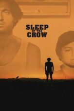 Nonton Film Sleep of the Crow Sub Indo