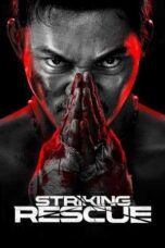 Nonton Film Striking Rescue Sub Indo